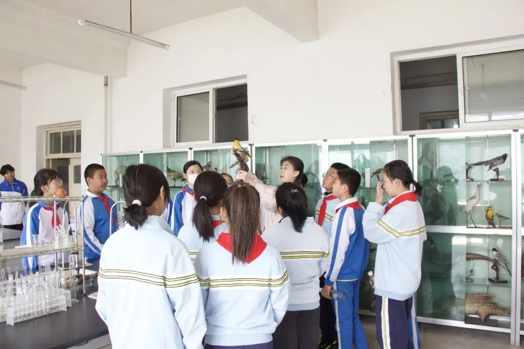 99290da1d3bf4adc9d3c66cddbf137f4.jpg 640.jpg