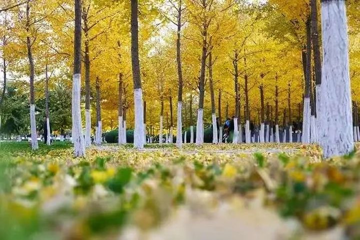 33f4eeefd97947b4a6e6f703b6fa0f32.jpg 33f4eeefd97947b4a6e6f703b6fa0f32.jpg