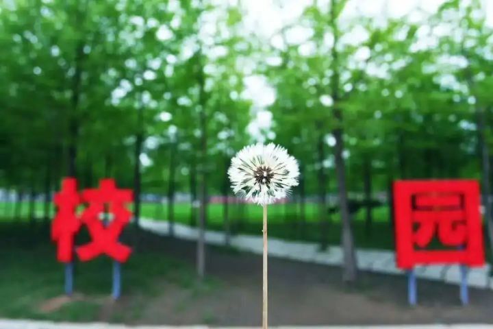 3d649b9e12fe422e8056c1861a41e017.jpg 3d649b9e12fe422e8056c1861a41e017.jpg