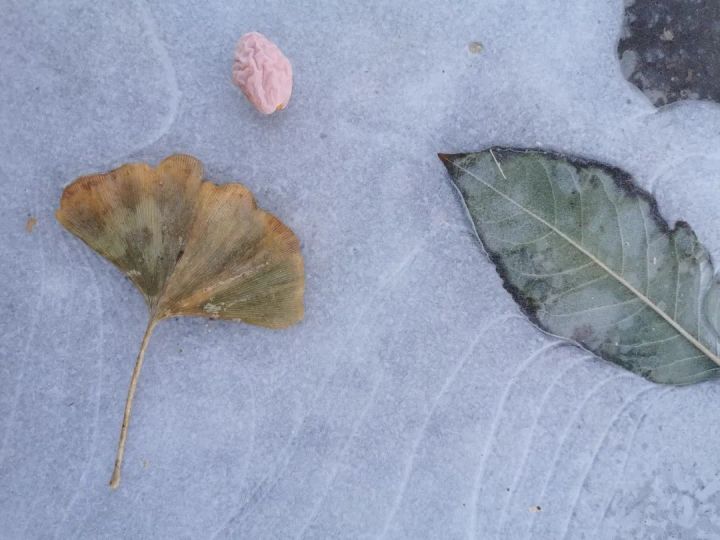 5742b0a601714e8ebc635152a0c1bb30.jpg 5742b0a601714e8ebc635152a0c1bb30.jpg