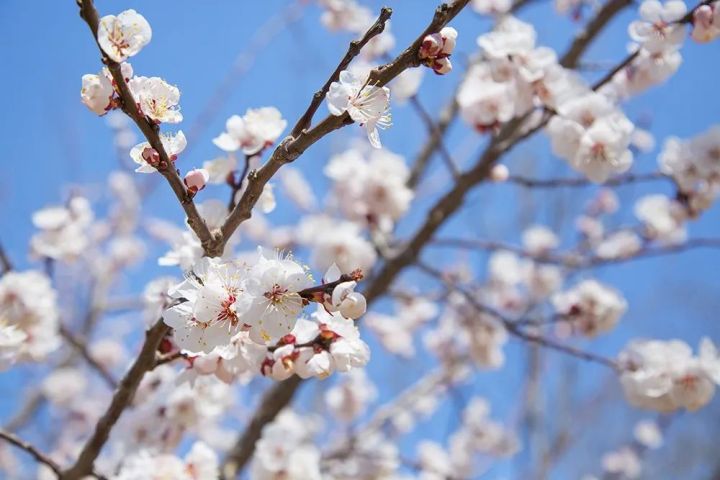 9fa795158a17486ba4bb178cc2e491b0.jpg 9fa795158a17486ba4bb178cc2e491b0.jpg