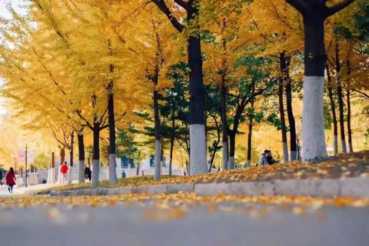 a14f26c514b24b749af95b58a77f262a.jpg a14f26c514b24b749af95b58a77f262a.jpg