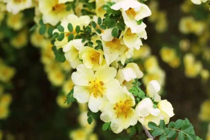 b470379fc046421c9358a07c47804c50.jpg b470379fc046421c9358a07c47804c50.jpg