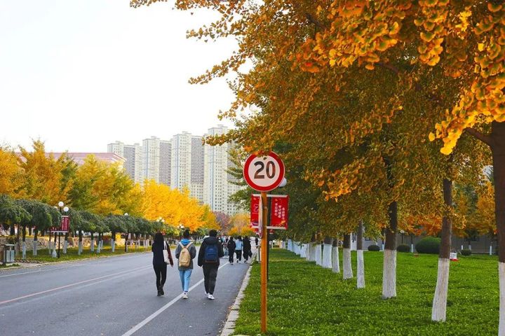 b7a7516355744d8f86d5c889e972641c.jpg b7a7516355744d8f86d5c889e972641c.jpg