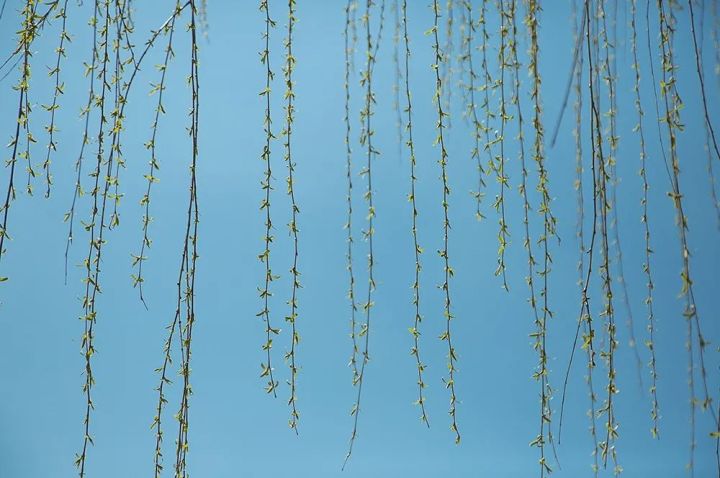 b8c8838eb538412883d0a8d054a58e0f.jpg b8c8838eb538412883d0a8d054a58e0f.jpg