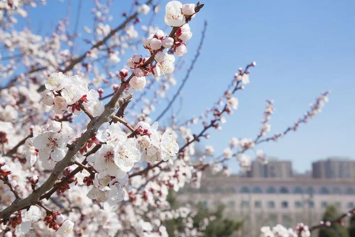 cab6246d6b5a4b7ab08ff72f19297f11.jpg cab6246d6b5a4b7ab08ff72f19297f11.jpg