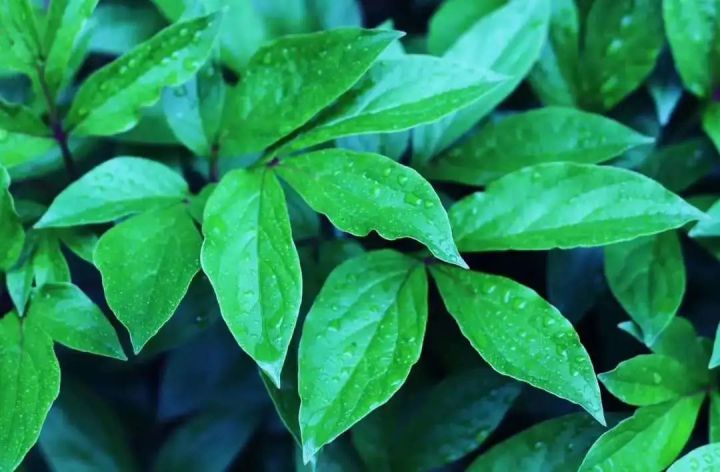 f6de632e0983457091e1aeeca218395a.jpg f6de632e0983457091e1aeeca218395a.jpg