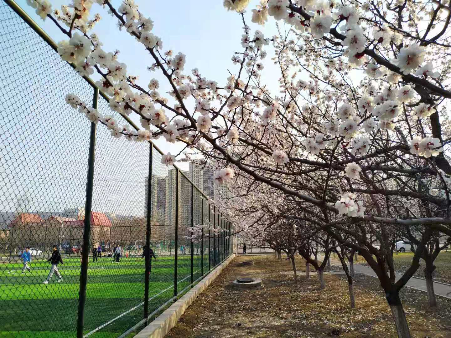 2c901f78f4da46e5b44993fc05be3b7b.jpg 2c901f78f4da46e5b44993fc05be3b7b.jpg