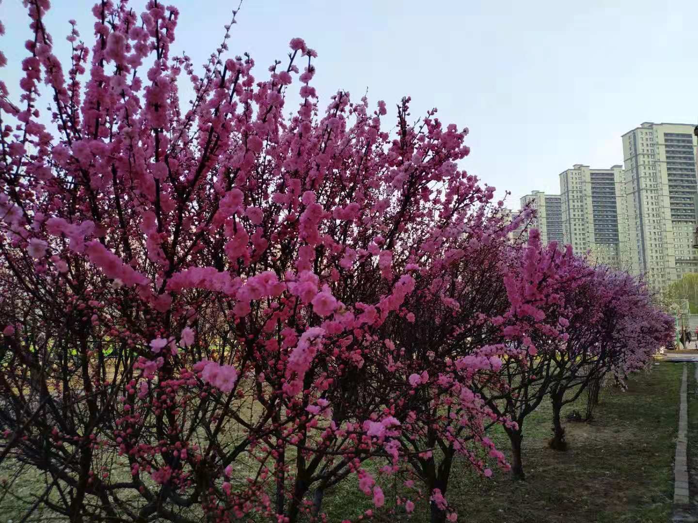 715bbb7b998846cfb436444f829c9e59.jpg 715bbb7b998846cfb436444f829c9e59.jpg