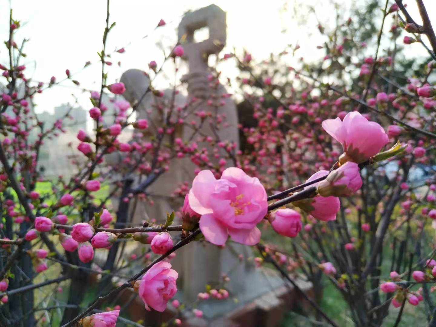 fd2fb482c65248178c0ec92b6de33706.jpg fd2fb482c65248178c0ec92b6de33706.jpg