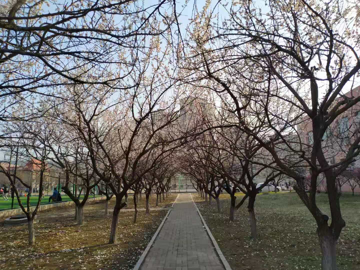 ff2d81be9e7e4e15aeff4c8837e34570.jpg ff2d81be9e7e4e15aeff4c8837e34570.jpg