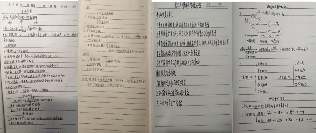 15af5d0373cb4ba28eacdfcc4e7282ad.png 15af5d0373cb4ba28eacdfcc4e7282ad.png