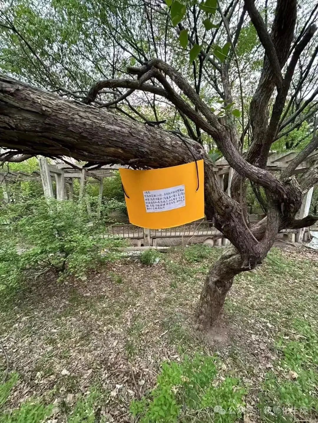 4488632baf104e3e8611c4d001fa2fe1.jpg 4488632baf104e3e8611c4d001fa2fe1.jpg