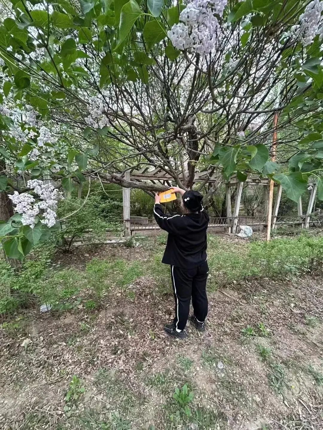 e2e55f9174764dafac261e95155b8dfe.jpg e2e55f9174764dafac261e95155b8dfe.jpg